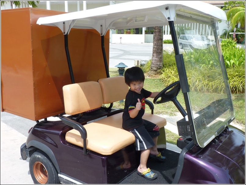 buggy ride at golden palm tree