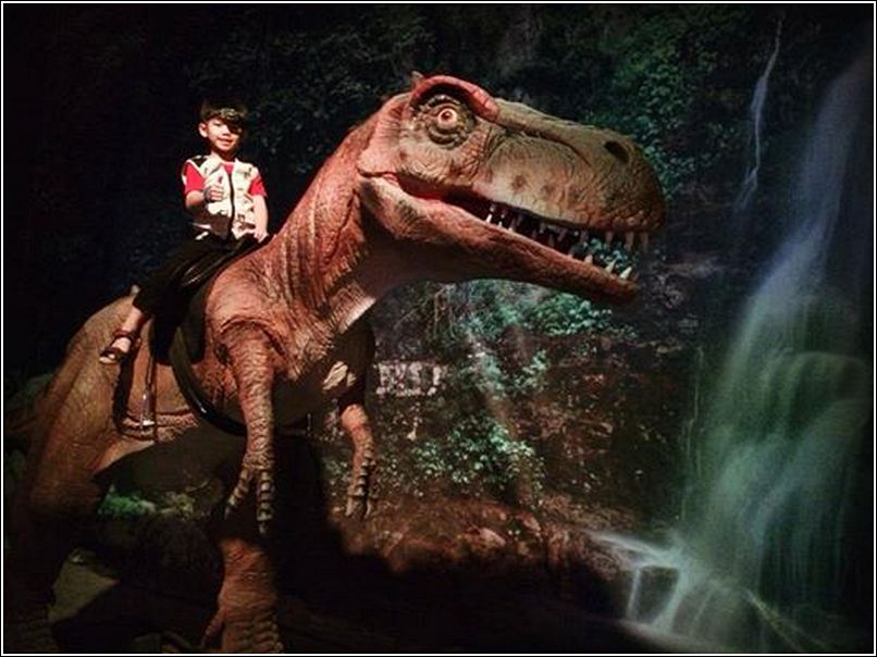 Discoveria Dinoscovery by Dinosaurs Alive Avenue K