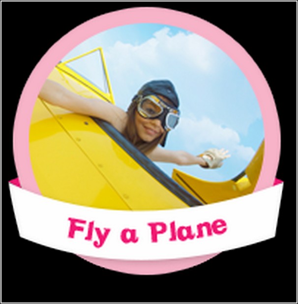 fly a plane