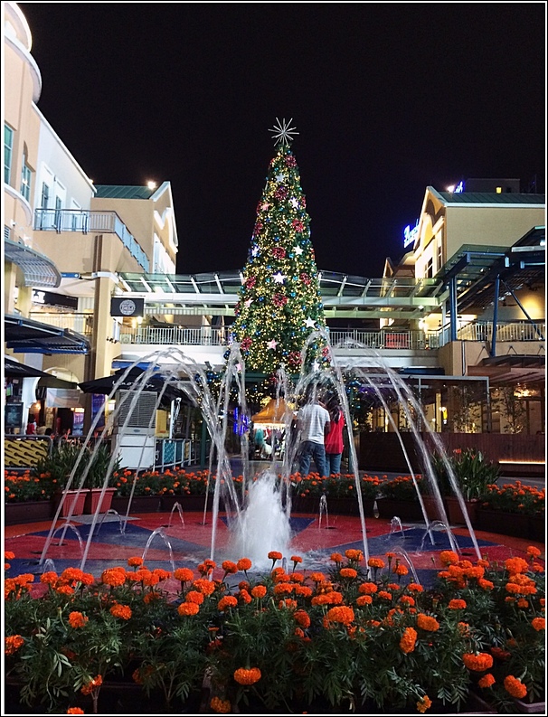 Christmas decor in the Curve