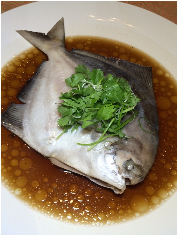 Corus Steamed Silver Promfret Fish with Supreme Soy Sauce