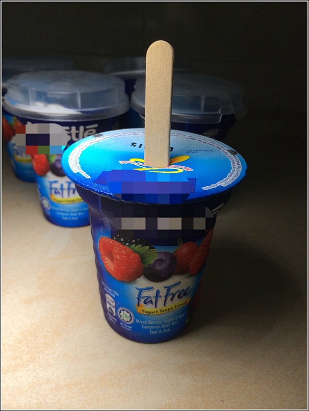 DIY Yogurt Ice Lolly
