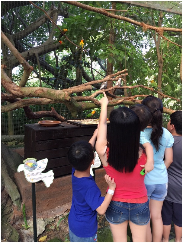 Sunway Lagoon Wildlife Bird 1