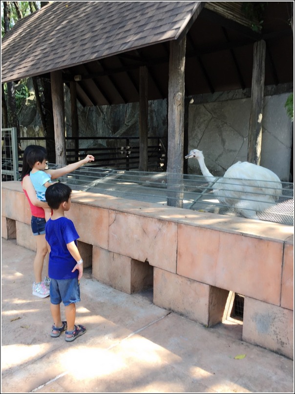 Sunway Lagoon Wildlife Ostrich