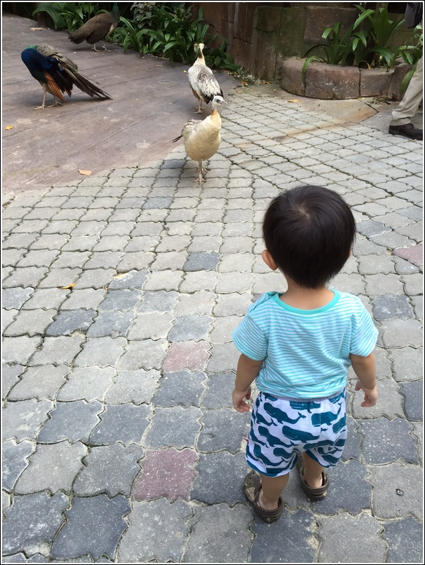 Sunway Lagoon WildlifePark