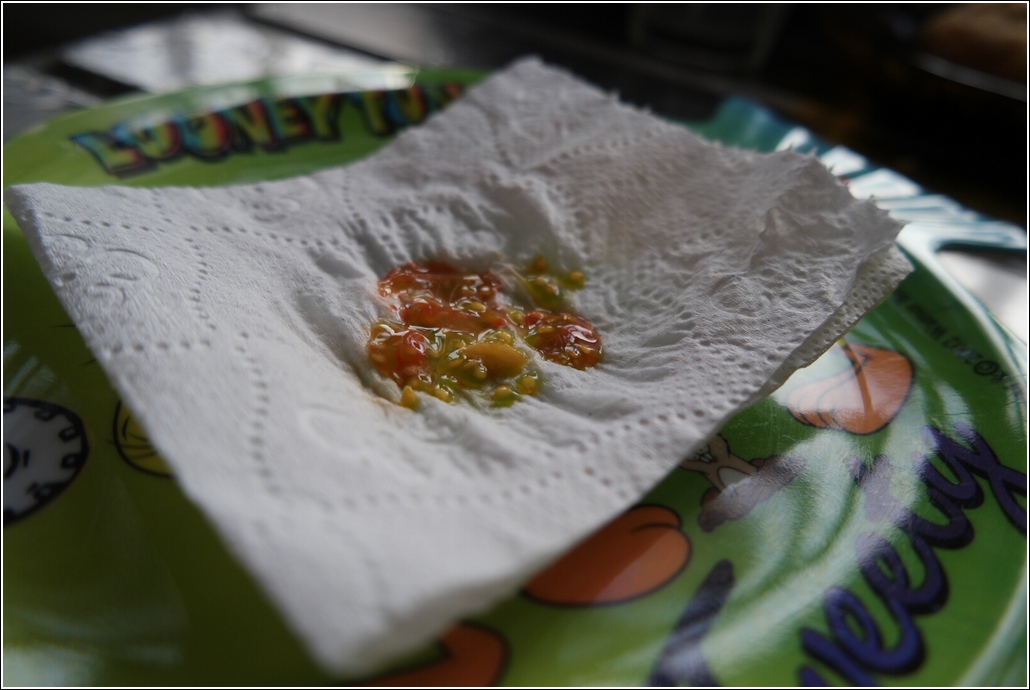 homegrown tomato seed