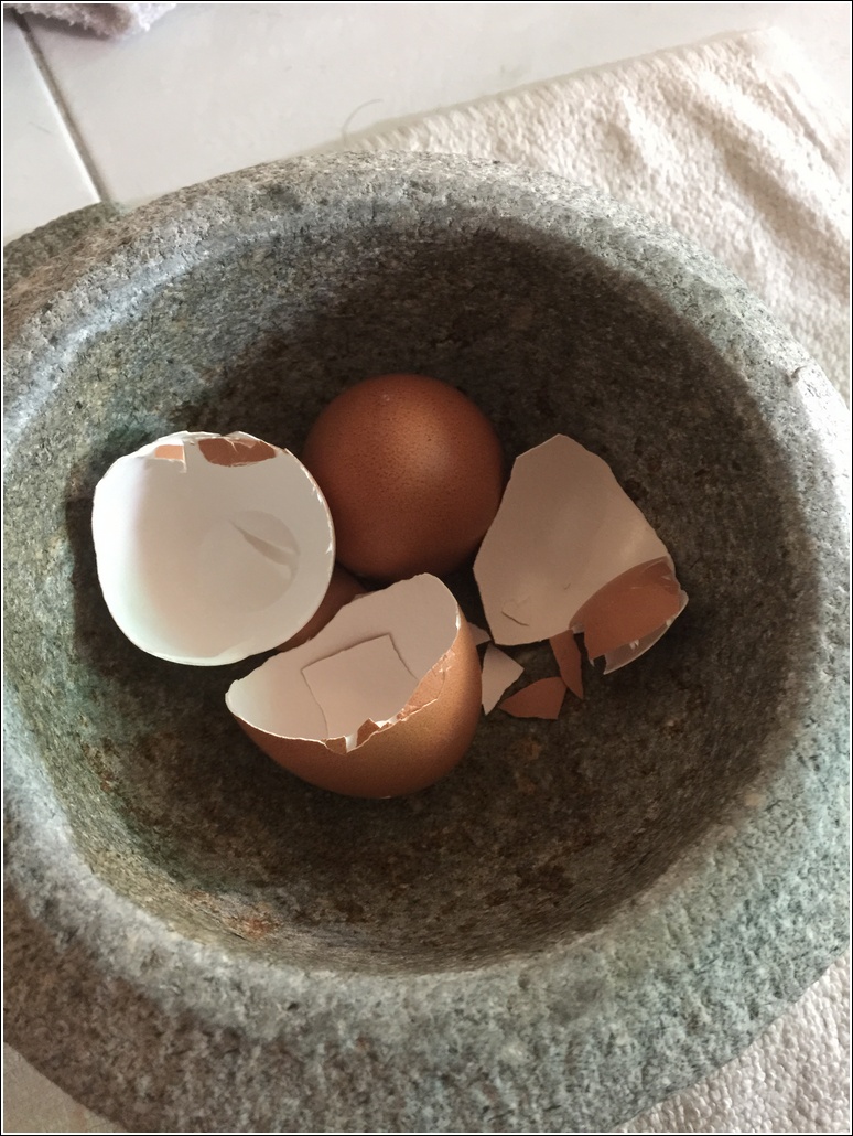 DIY egg shell calcium powder for plants