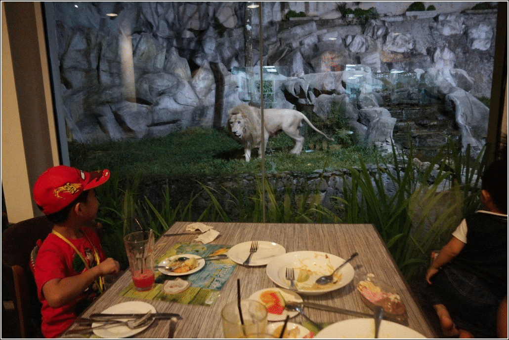 Dining_with_White_Lions_at_Simba_Hill_Gourmet_Hall_Bukit_Gambang