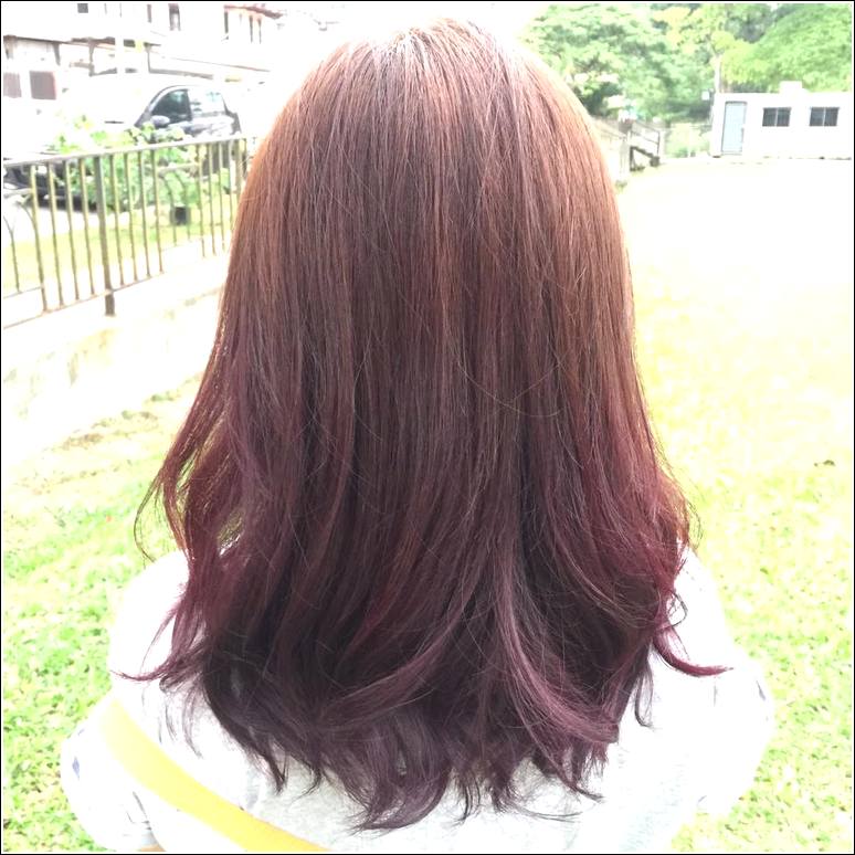 Number 76 hair color dual tone