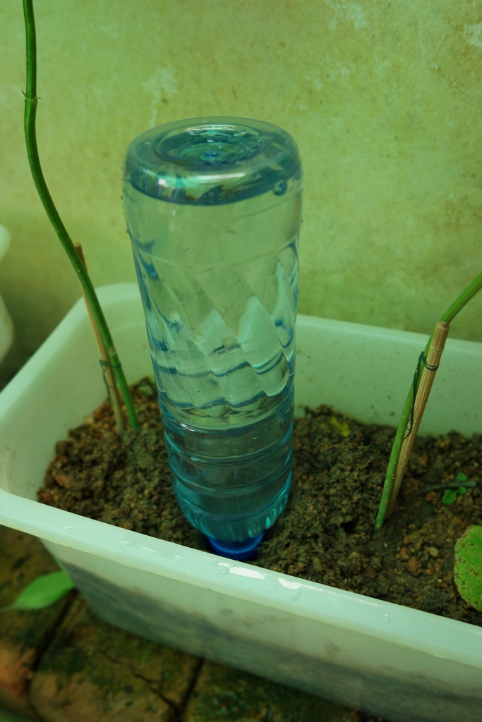 DIY Self watering planter 5