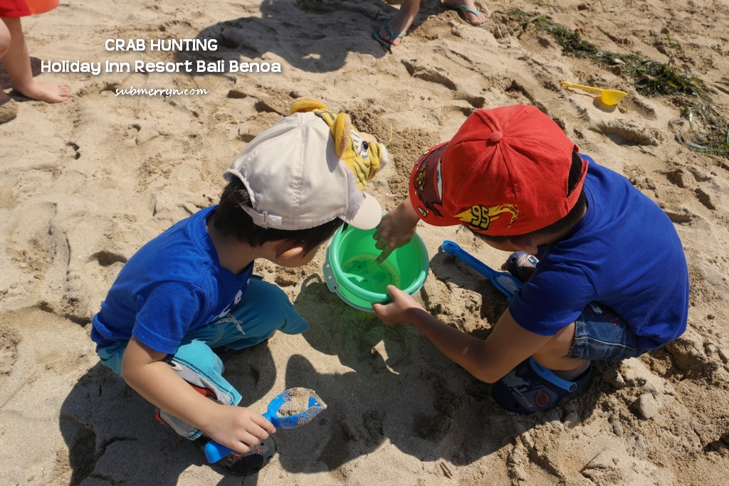 crab-hunting-1
