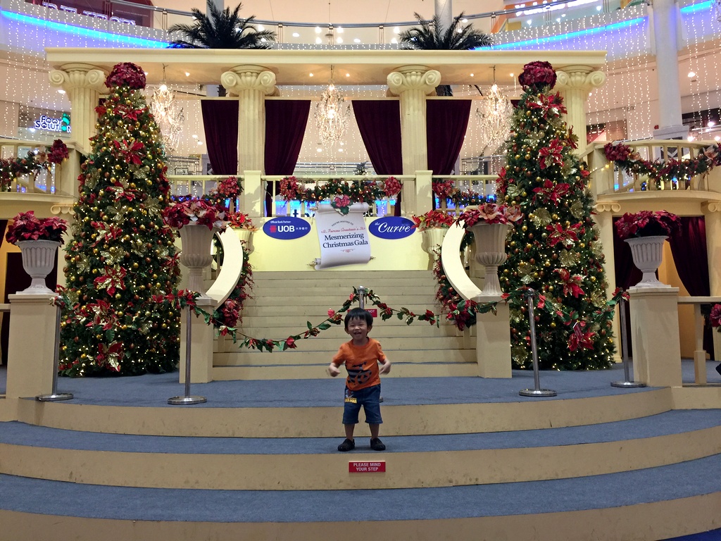 curve-christmas-decor-2016