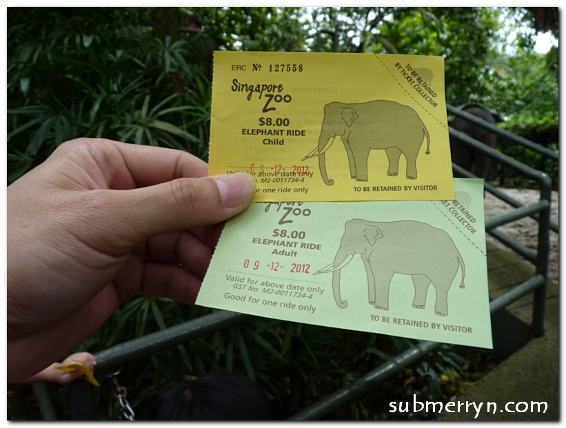 Elephant Ride, Singapore Zoo « Home is where My Heart is…