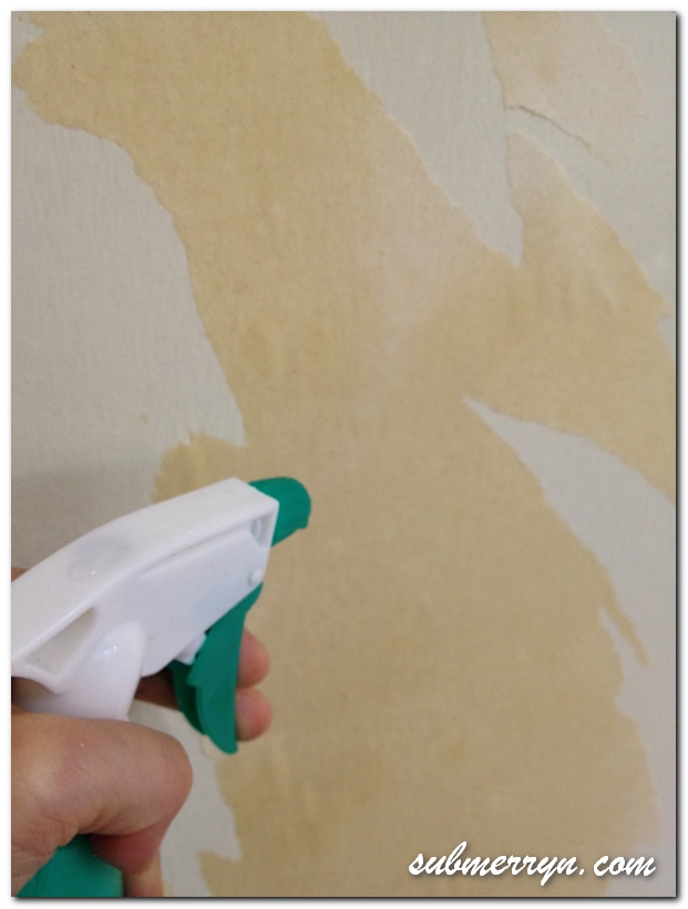 how to remove wall paper_2