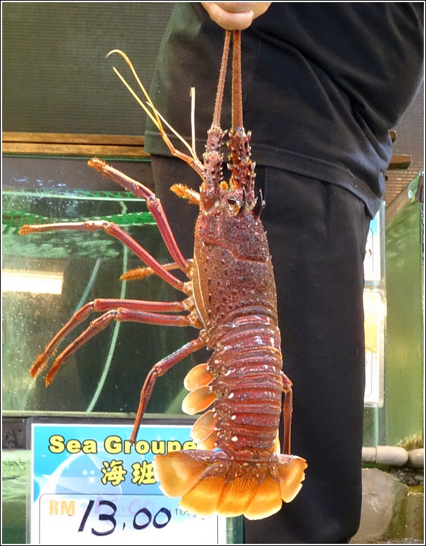 Bali Hai Lobster Promo_2