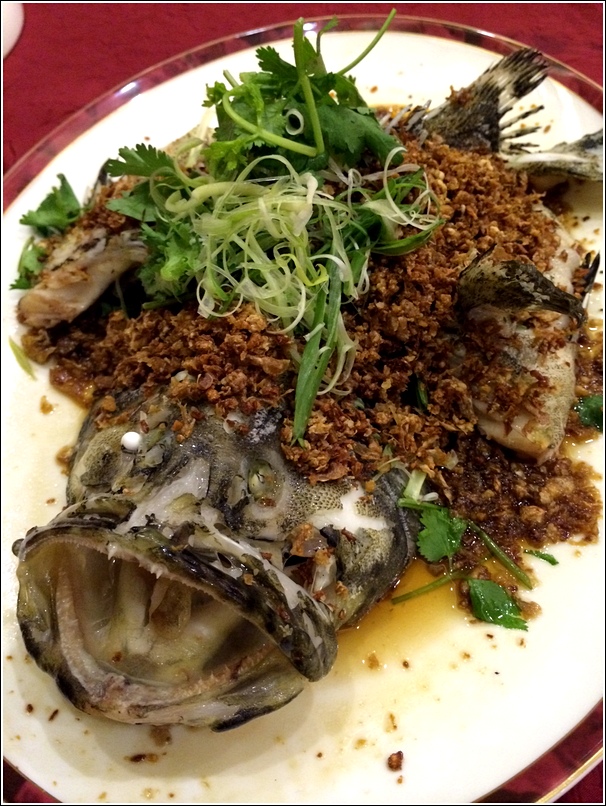 steamed sea garouper with preserved vegetables in king soya sauce