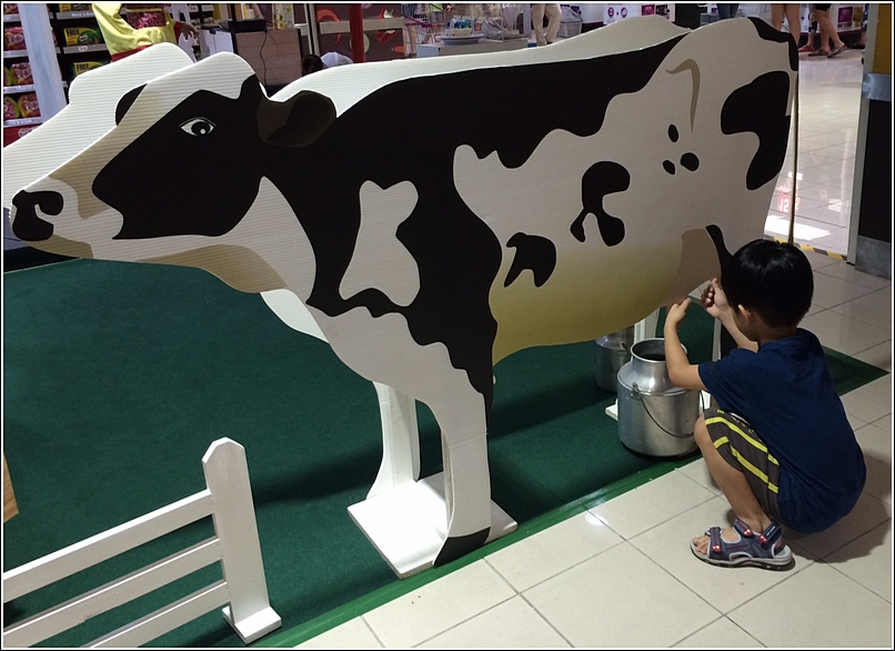 Milking the cow 1