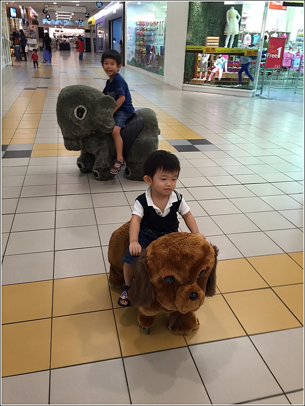 Animal kiddy ride 2