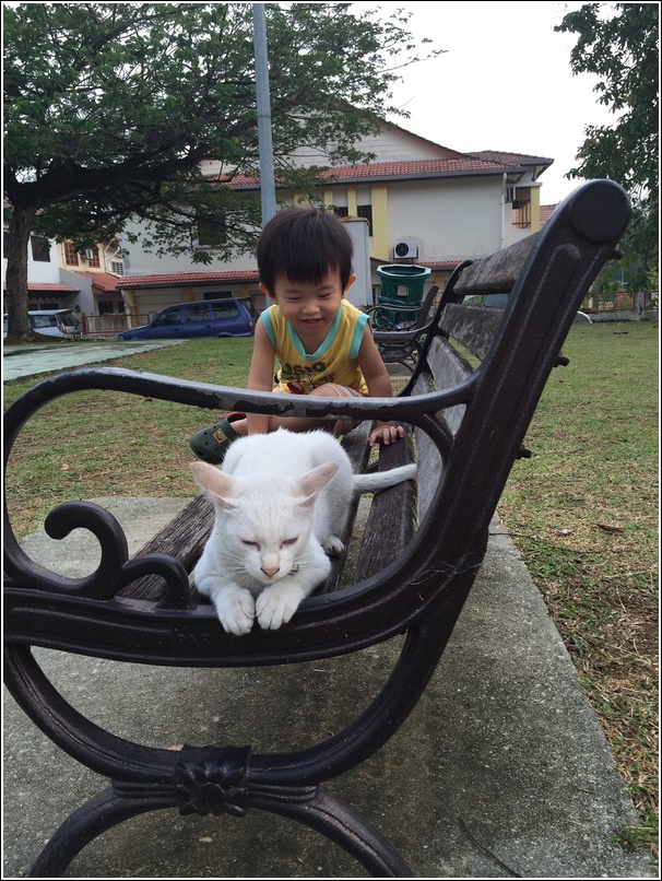 Ayden and playground cat